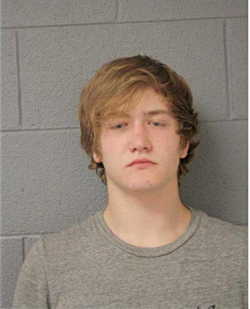 WILLIAM D OTTENS, Cook County, Illinois