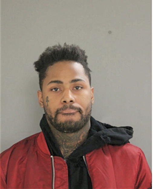 DOMINIQUE B RIDLEY, Cook County, Illinois