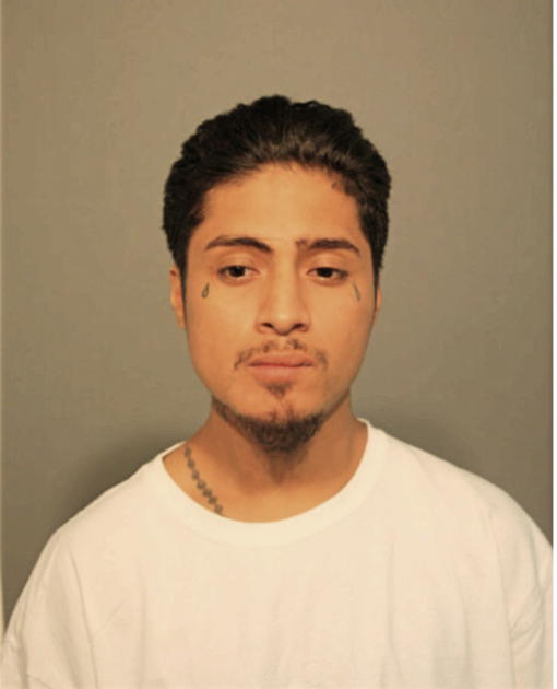LEWIS P RODRIGUEZ, Cook County, Illinois