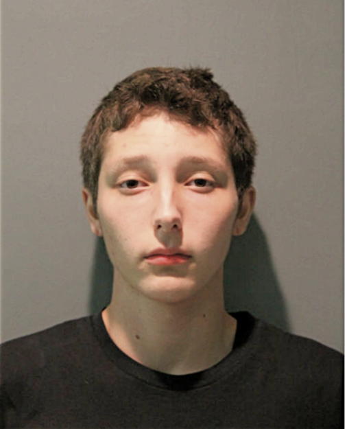 BRYCE G STAGNER, Cook County, Illinois