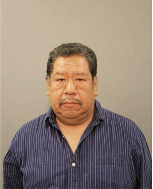 LUIS R VILLALVA, Cook County, Illinois