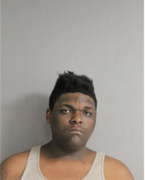 CAVARSIER LESLIE YOUNG, Cook County, Illinois