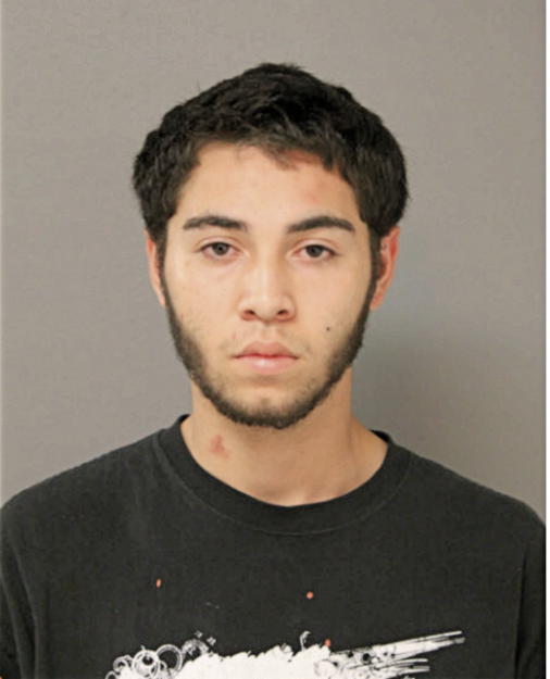 LUIS A MORALES, Cook County, Illinois