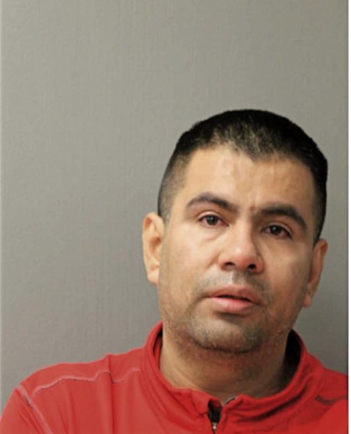 ESTEBAN BAHENA, Cook County, Illinois