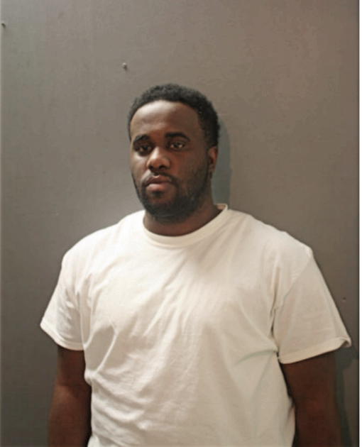 RYAN C BRUCE, Cook County, Illinois