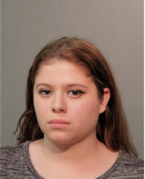 ALYSSA L CASTILLO, Cook County, Illinois