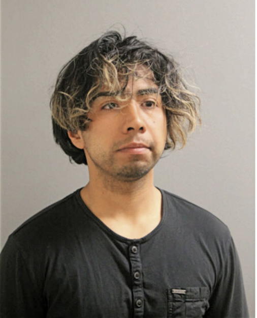 ANDY DIAZ, Cook County, Illinois