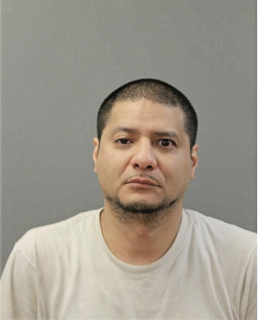 WILLIAM ESTRADA, Cook County, Illinois