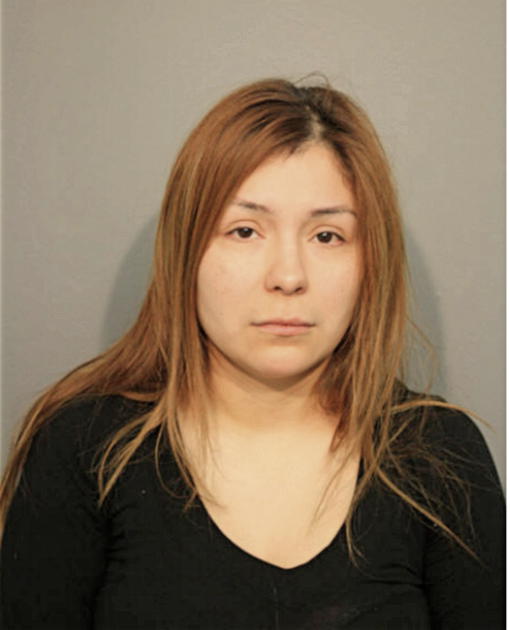 IRMA FLORES, Cook County, Illinois