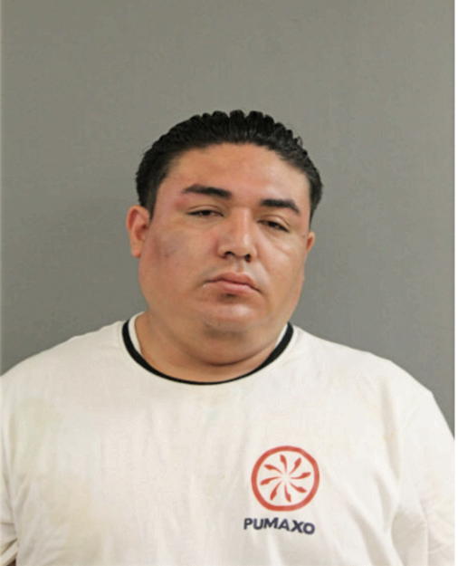 ISAI GONZAGA, Cook County, Illinois