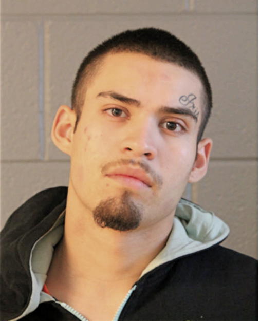 JOSE M GUZMAN, Cook County, Illinois