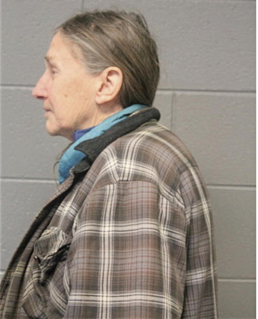 SALLY E HAMANN, Cook County, Illinois