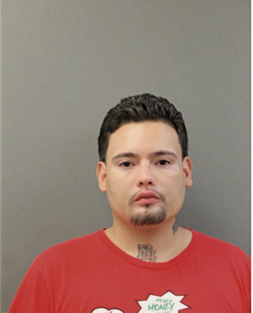 LUIS HERNANDEZ, Cook County, Illinois