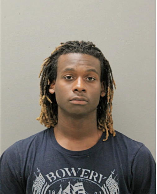 DEMETRIUS D LANE, Cook County, Illinois
