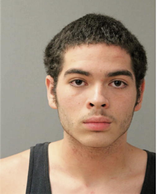 GUILLERMO RAMON LLAGUNO, Cook County, Illinois