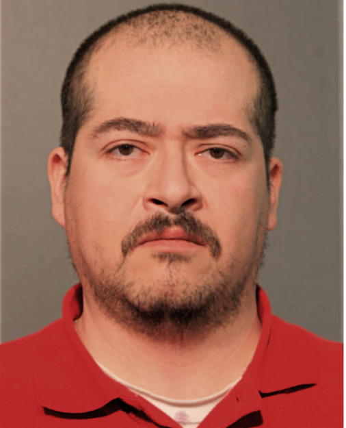 LUIS M MARMOLEJO, Cook County, Illinois