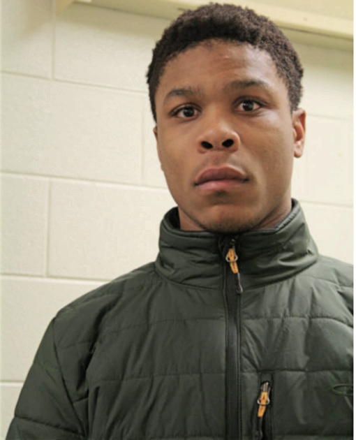 BRANDON L MARTIN, Cook County, Illinois