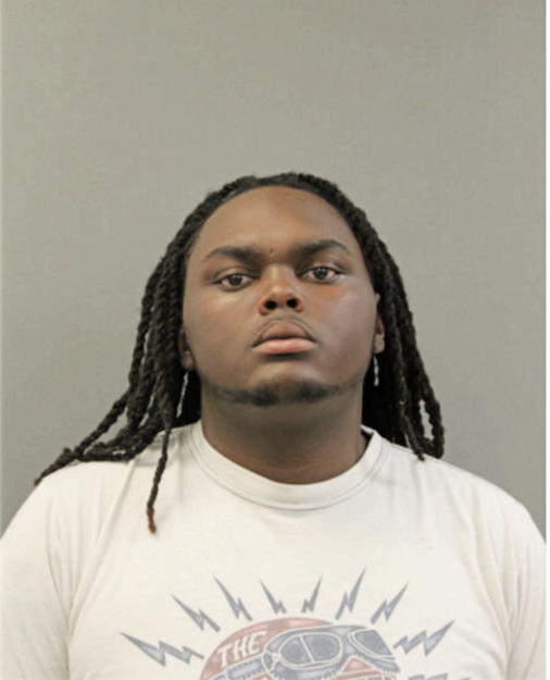 THOMAS G MAYFIELD, Cook County, Illinois