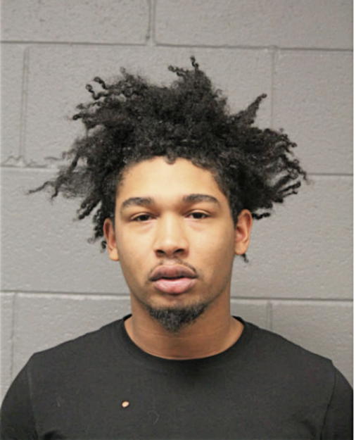 STEVEN D MITCHELL, Cook County, Illinois
