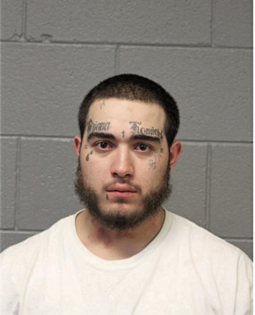 CARLOS M NUNEZ, Cook County, Illinois