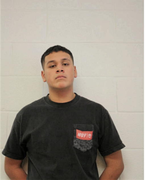 IVAN I PATINO, Cook County, Illinois