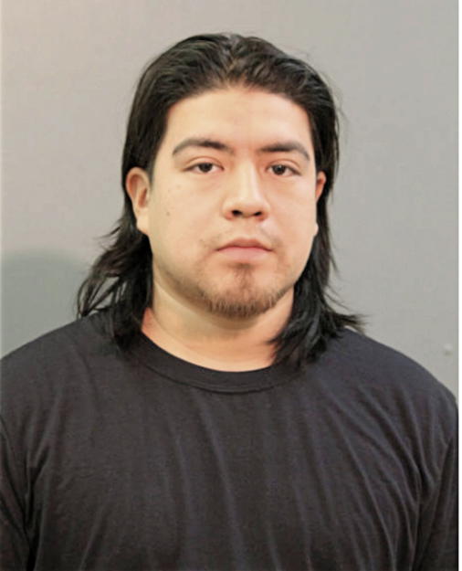 OCTAVIANO RAMERIZ, Cook County, Illinois
