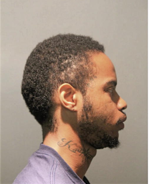 DAMON T REED, Cook County, Illinois