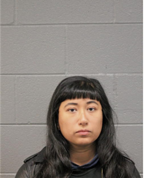 MONICA R TRINIDAD, Cook County, Illinois