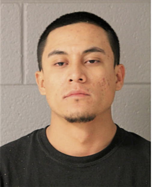 NESTOR A ALMANZA, Cook County, Illinois