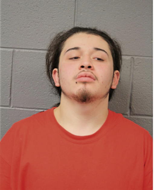 RENE ARREDONDO, Cook County, Illinois