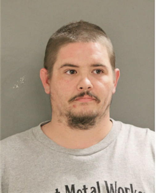 BRENT C CARLSON, Cook County, Illinois