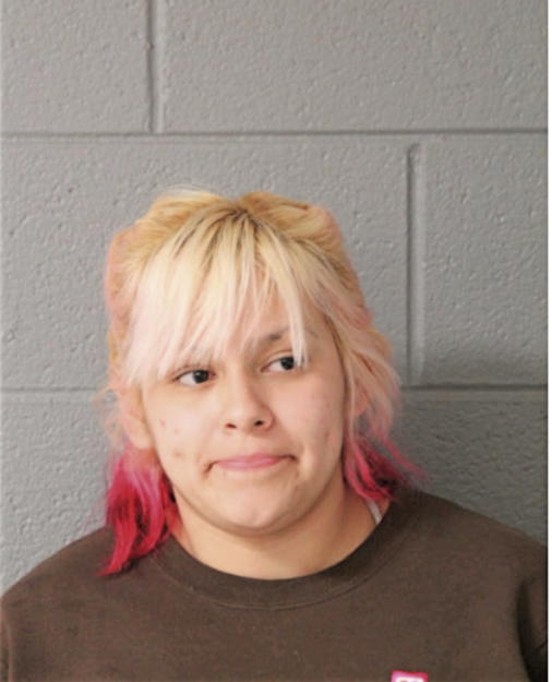 MARIA DE CONSUELO ANDRADE, Cook County, Illinois