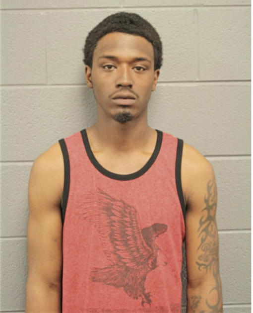 MICHAEL M DAVIS, Cook County, Illinois