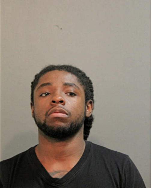 DEMUN E RICE, Cook County, Illinois