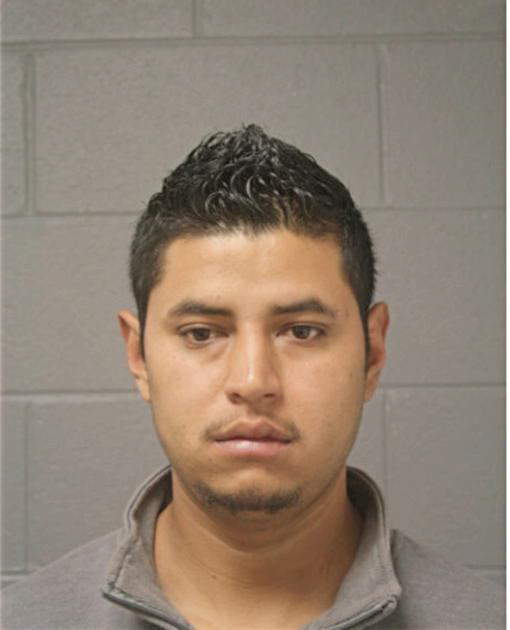 LUIS M GOMEZ, Cook County, Illinois