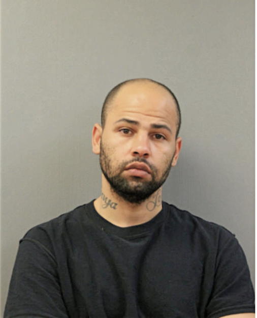 DUSTIN J GOODMAN, Cook County, Illinois