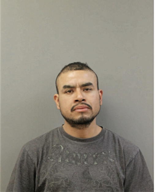 JULIO HERNANDEZ, Cook County, Illinois