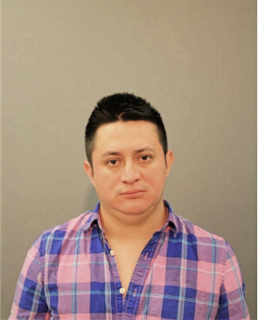 CRUZ JAVIER HIDALGO-ESTRADA, Cook County, Illinois