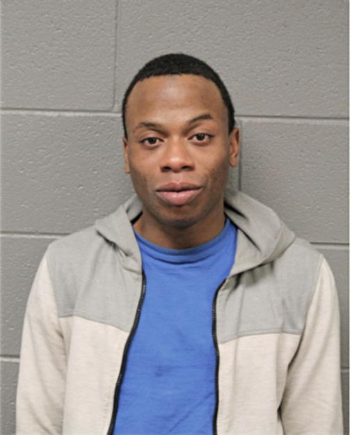 MICHAEL J JOHNSON, Cook County, Illinois