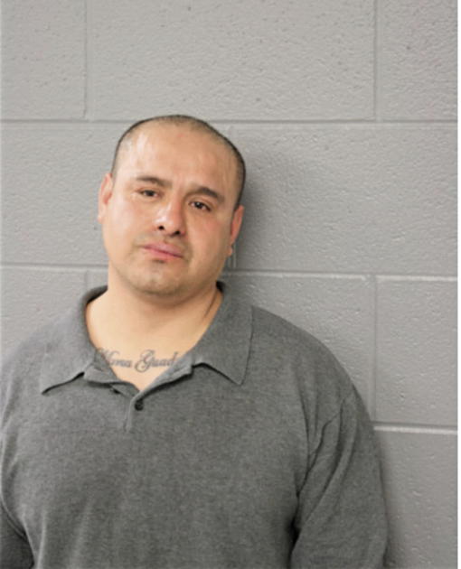 GABRIEL DE LA LUZ, Cook County, Illinois