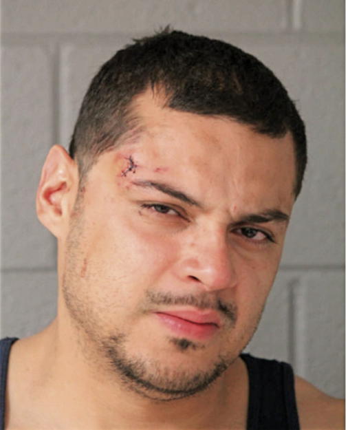 MICHAEL R LOVERING, Cook County, Illinois