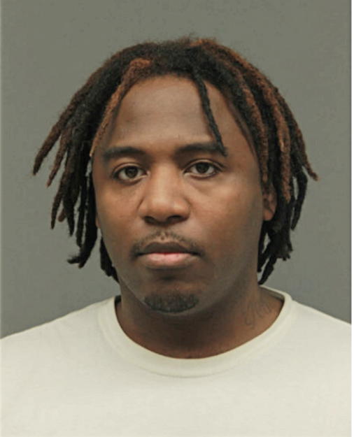 MICHAEL PALMER, Cook County, Illinois