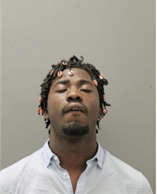 ALLEN L PATTON, Cook County, Illinois