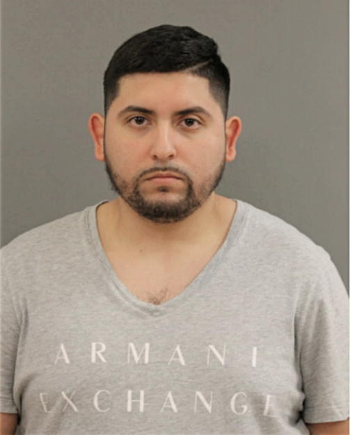 OSCAR I ROBLES, Cook County, Illinois