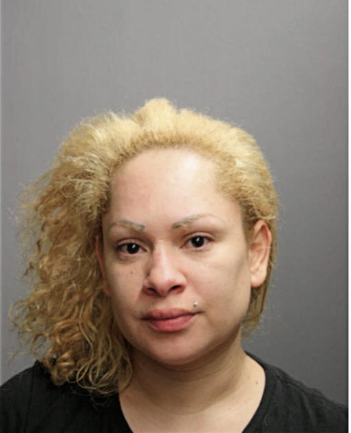 ERIKA M SANTIAGO, Cook County, Illinois