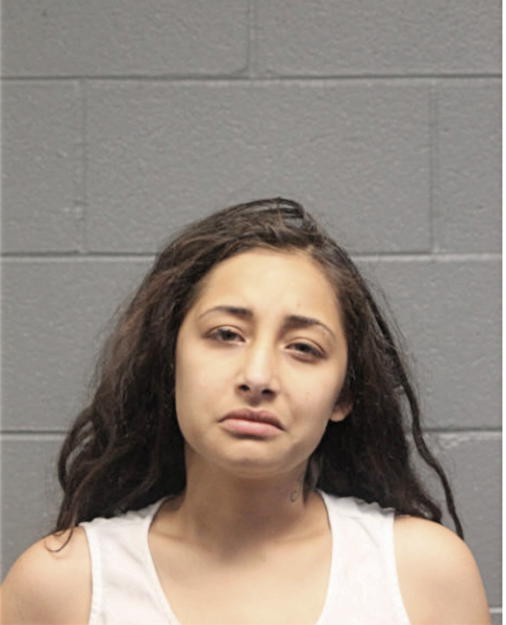 YDALIS SANTIAGO, Cook County, Illinois