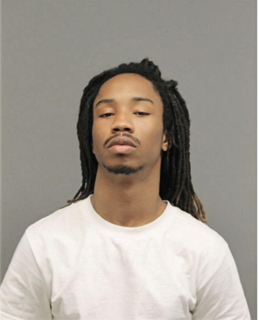 MICHAEL E SHAW, Cook County, Illinois