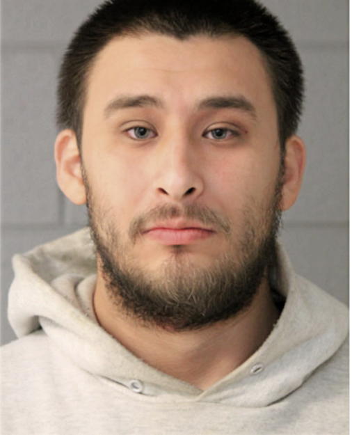 RAFAEL M TORRES, Cook County, Illinois