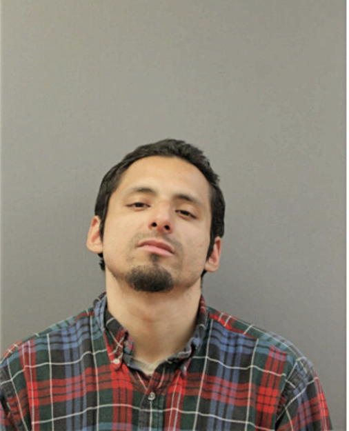 FRANCISCO J VEGA, Cook County, Illinois