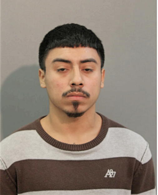 NOE VENCES, Cook County, Illinois